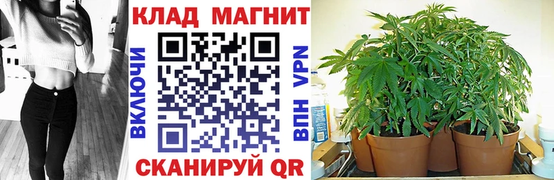 Купить наркотики Староминская Экстази Канабис APVP Мефедрон ГАШ