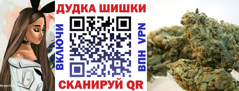 где продают наркотики  мориарти как зайти  Марихуана план  Староминская 